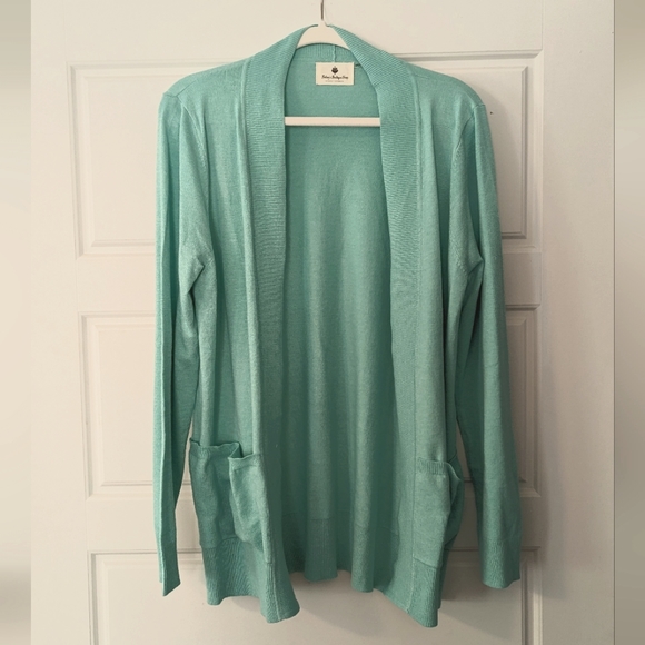 XL seafoam blue/green cardigan, never worn - Picture 1 of 1